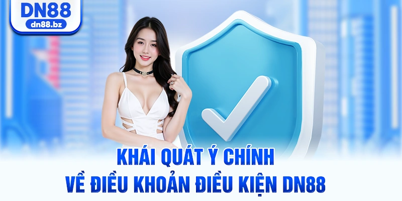 Khái quát ý chính về điều khoản điều kiện DN88